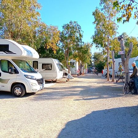 Camping La Naranja Gandía Exterior foto