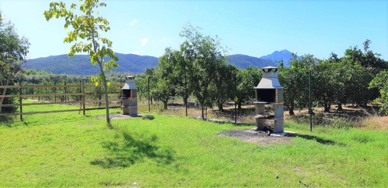 Camping La Naranja Gandía Exterior foto