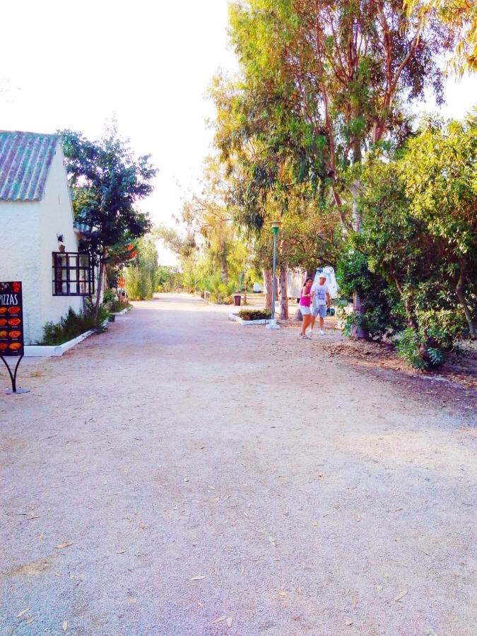 Camping La Naranja Gandía Exterior foto