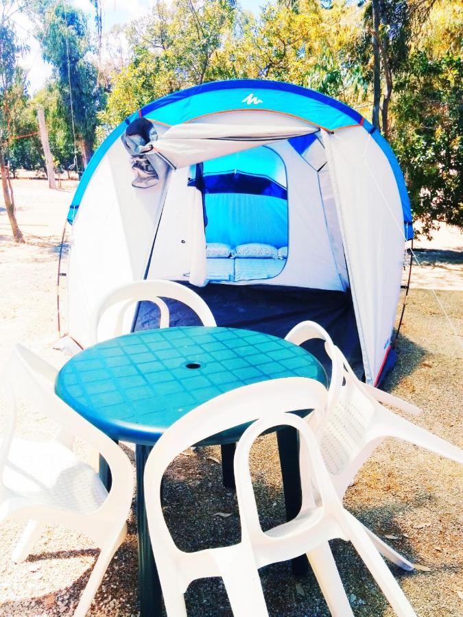 Camping La Naranja Gandía Exterior foto